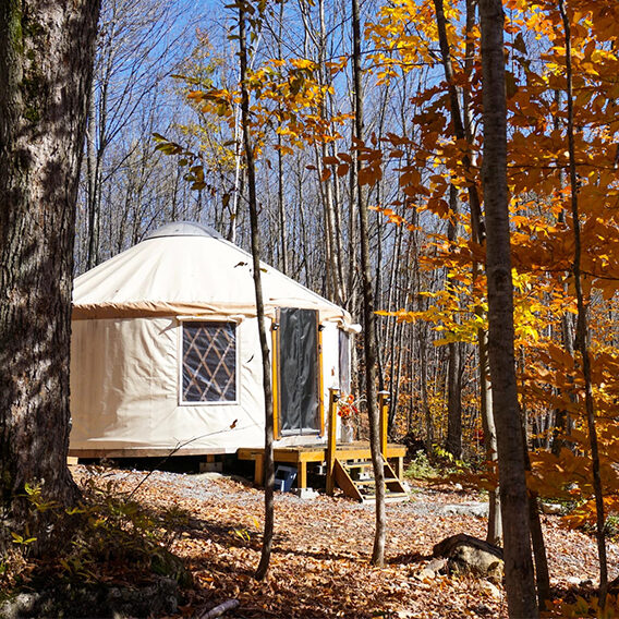 Ma Yourte au Cœur des Collines